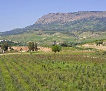 MOUNTAIN ZALAGH - Day Trip from Fes